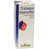 CRATAEGUS OXYACANTHA 60ML TM