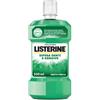 LISTERINE DIFESA DENT/GEN500ML