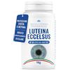 Salus Eterna Integratore Vista con Luteina e Zeaxantina Alto Dosaggio 60 Capsule con Ginkgo, Vitamine e Antiossidanti Integratore Occhi Vista Protezione Retina, Luce Blu e Maculopatia Made in Italy