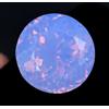 Glitzy Gems Opale naturale viola-rosa Welo 32,95 ct pietra preziosa sfusa rotonda certifi...