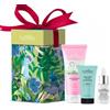 ZETA FARMACEUTICI SpA Euphidra Ritual Purity Cofanetto Viso Detersione E Detox 3 Pezzi