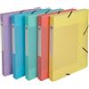 Exacompta 10 scatole archivio Cartobox Chromaline A4 PP dorso 2,5 cm