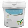 Bioges Solfato di POTASSIO con Sale di MAGNESIO da 2,5 kg