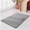 GIBZ Tappetino Assorbente Sottociotola per Cani Gatti Grigio Chiaro 45x60cm | Tovaglietta per Ciotola in Diatomea per Cibo Tappetini Lavabile Antiscivolo