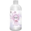 Essenza Bucato LINEA PROFESSIONALE ESSENZE PROFUMA BUCATO Home Collection Aurora 500 ml
