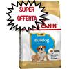 ROYAL CANIN CANE BULLDOG INGLESE PUPPY 12 KG