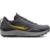 SAUCONY PEREGRINE 12 GTX shadow/wizi