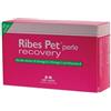 N. B. F. Lanes Ribes Pet Recovery Blister 60 Perle