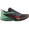 Salomon Sense Ride 5 scarpe trail running