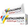 Vegetallumina Escina 1% Gel 100 Ml