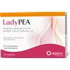 AGAVE Ladypea 30Cpr