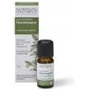 Nasoterapia Olio Essenziale Ravintsara Biologico 100% Puro Naturale 5 ml