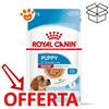 Royal Canin Dog Medium Puppy - Bustina Da 140 Gr - CONFEZIONE RISPARMIO
