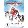 Walt Disney / LEONINE Antarctica - Gefangen im Eis