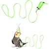 SEMINISMAR Pettorina e guinzaglio per Uccelli Pappagallo,Pettorina Pappagallo Parrot Leash Flying Anti-Bite Traction Rope Uccello Allenamento Outdoor Carrying Flight Rope Tether Uccello Harness