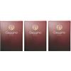 Tenuta Gaggino 3 Bag In Box da 5 litri Piemonte DOC Barbera Gaggino vino rosso - confezione da 5 l conveniente e comodo (3 x 5 litri)