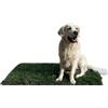 PratoErboso GreenZolla - L' Originale Lettiera per Cani in Erba Vera Naturale, Traversina 100% Naturale, Cuccia per Gatti in Vero Prato, Zona Gioco e relax per Animali Misura Maxi