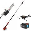 Blue Bird PCS 23-10 - Potatore a batteria su asta - 50.4V 5Ah