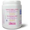 ARGITAL SRL Argital Fango Snellente 1000Ml