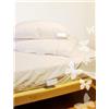 Copricuscino Antiacaro Cm 50X80