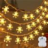 cshare Catena luminosa a LED con fiocco di neve, 6 m, 40 LED, alimentata a batteria, con timer, IP65, impermeabile, per giardino, campeggio, Natale, decorazione per interni ed esterni, bianco caldo