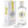 ROGER&GALLET (LAB. NATIVE IT.) R&G OSMANTHUS EAU PARFUMEE 100 ML