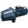 Ebara Pompe Elettropompa Autoadescante EBARA AGA/E IE2 1.00 Hp Monofase