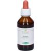 Sangalli Bardana RX Tintura Madre 100 ml