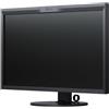Eizo Monitor Eizo CG319X da 31 pollici