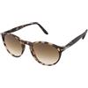 Persol PO3092SM 900551 | Occhiali da Sole Graduati o Non Graduati | Prova Online | Unisex | Plastica | Panthos | Marrone, Havana | Adrialenti