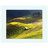 Fotoregali Puzzle medio 54x39 da personalizzare