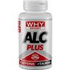 WHY SPORT ALC PLUS acetil L-carnitina caffeina taurina e vitamina B6 60cpr
