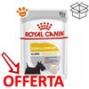 Royal Canin Dog Dermacomfort - Bustina Da 85 Gr - CONFEZIONE RISPARMIO