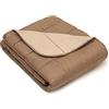 PARAMAISON Piumino Bicolore Doble, Anallergico, Traspirante, Reversibile, 300 gr/mq, Trapunta Piumone Invernale Double Face, Matrimoniale 260 X 270 cm, Terra-Sabbia