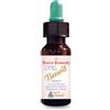ALCHIMIA BENOIT Srl BRAVE REMEDY 28 ML
