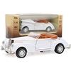 Tnfeeon Modello di Auto Miniatura 1:36 con Luci e Suoni Giocattolo per Bambini Regali