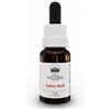 Green Remedies Australian Bush Flower Essences Turkey Bush Gocce 15 Ml