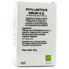 OTI Phyllanthus Niruri es 60cps