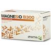 PHARMASI Magnesio b 300 30 Bustine