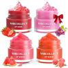 ANRCOLLECT Lip Balm & Scrub Labbra, 4P Maschera Labbra Kit per idratazione intensa, la cura delle labbra ad 2 maschera per labbra e 2 esfoliante per labbra addormentate