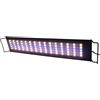 HOBBY Terraristik Terra Fix & Easy LED I illuminazione a LED dimmerabile per terrari, lampada da terrario con temperatura di colore regolabile, illuminazione per terrari per rettili, anfibi e piante