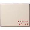 VETRERIA CASORIA GIANNI Vetro ceramico UNIVERSALE, misura compatibile per stufa a legna, (LA NORDICA, CUCINA ROSETTA) 31,3 cm x 22 cm, spessore 4mm