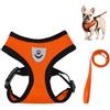 Bieiyhe Imbracatura e Guinzaglio per Gatti Regolabile, Pettorina Cane Taglia Piccola, Pettorina per Cuccioli di Gatto e Cani,Pettorina Imbottita Riflettente,Guinzaglio Gatto Antifuga,Pettorina Harness