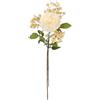Flair Flower Fiori artificiali, set di 2 rami di seta, fiori artificiali, decorazione autunnale, fiori autunnali, fiori decorativi, fiori autunnali, fiori decorativi, floristica, per bouquet, ghirlanda, crema