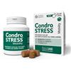 Condrostress Mobility per Cani Adulti e Anziani da 90 soft chews