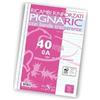 CARTIERE PAOLO PIGNA RICAMBI RINFORZATI PIGNA A4 80 GR A 0219459