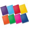 CARTIERE PAOLO PIGNA MAXI QUADERNO MONOCROMO PPL PIGNA RIGATURA 5MM 42 FF 80 GR 02298915M