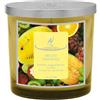 HYPNO CASA CHIC Candela Profumata 350gr Frutti Tropicali