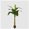 EDG Enzo De Gasperi Pianta Artificiale Banano con Vaso 170cm 9 Foglie Verde