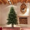 EDG Enzo De Gasperi Albero di Natale Pino Luxury 210x142cm Realistico Natural 3387 Rami